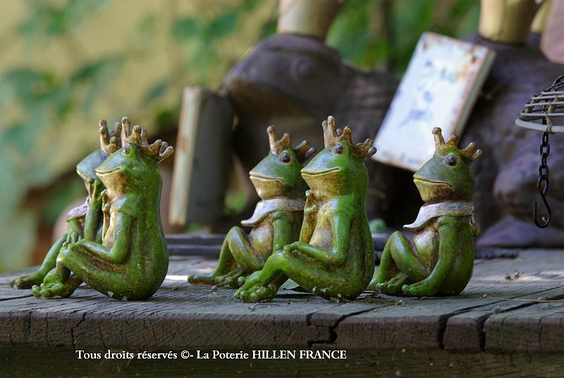 grenouilles assise
